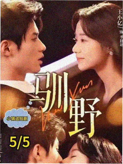 请回答1988 韩剧下载